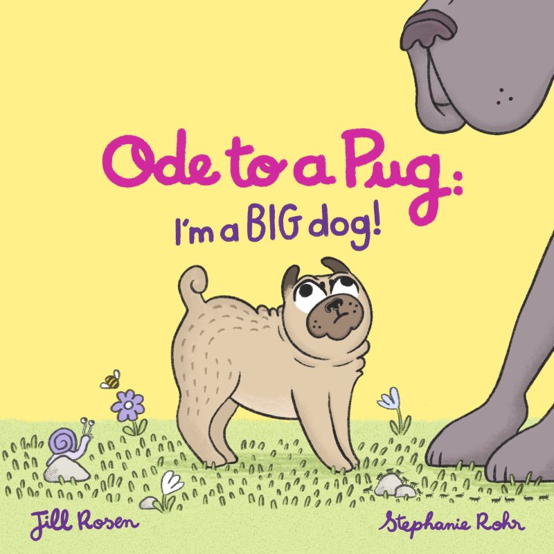 Oda pug: Eu sou um cachorro GRANDE! Agende uma visita e presenteie