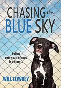 Perseguindo o Céu Azul - Resenha Editorial - The Book Review Directory