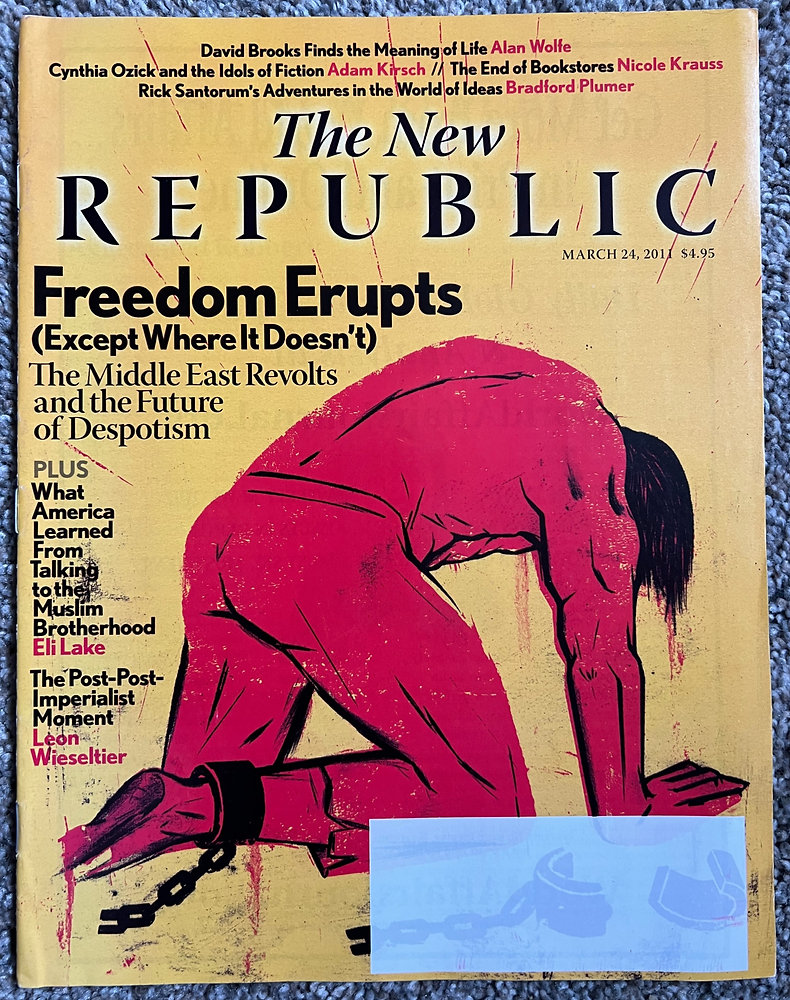 The New Republic Magazine - David Brooks encontra sentido na vida